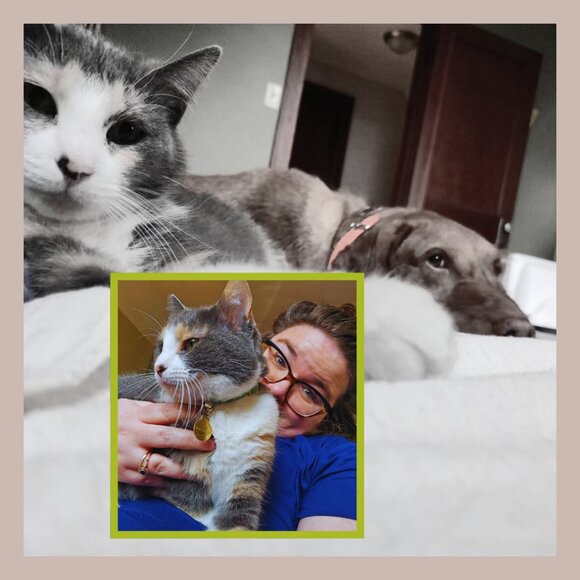 BESS-EA-EAFOLSOM09 is LIVE! Come join me! - Picture 3 of 6